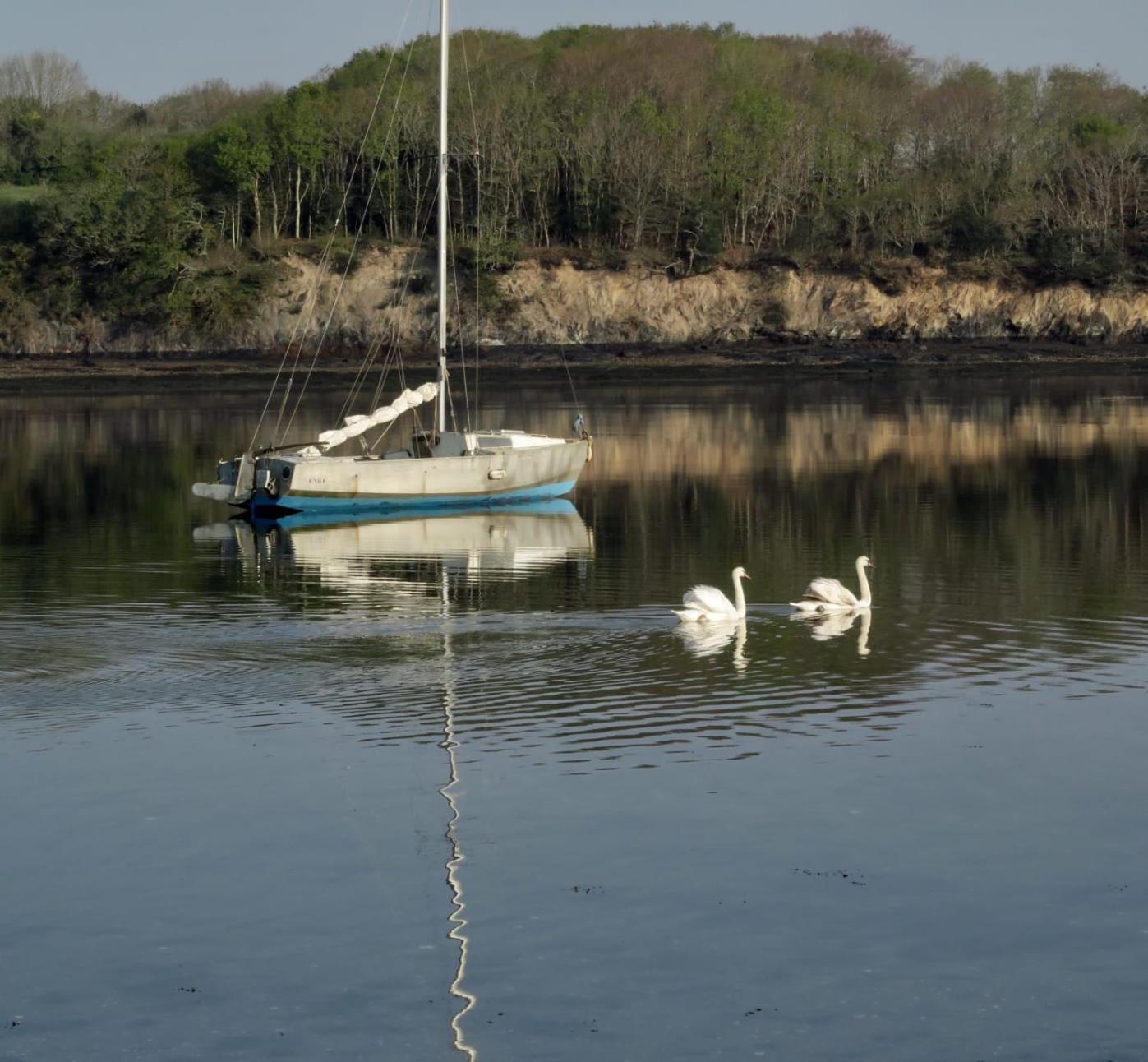 Charmante Petite Maison Rostiviec Bord De Mer Loperhet Dış mekan fotoğraf